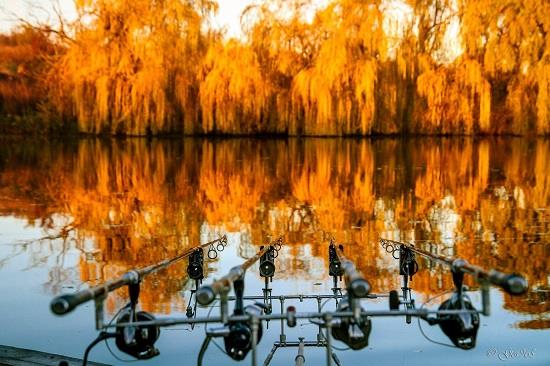 Jurnalul lui gor965: Final de sezon. Care au fost baltile de top la sfarsit de 2015?